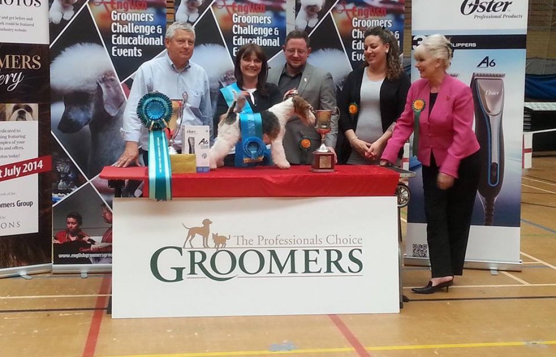 dog groomer surrey competition winner award