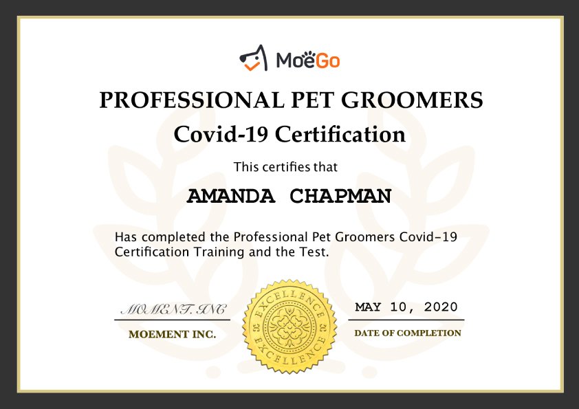 MoeGo Covid-19 Certificate